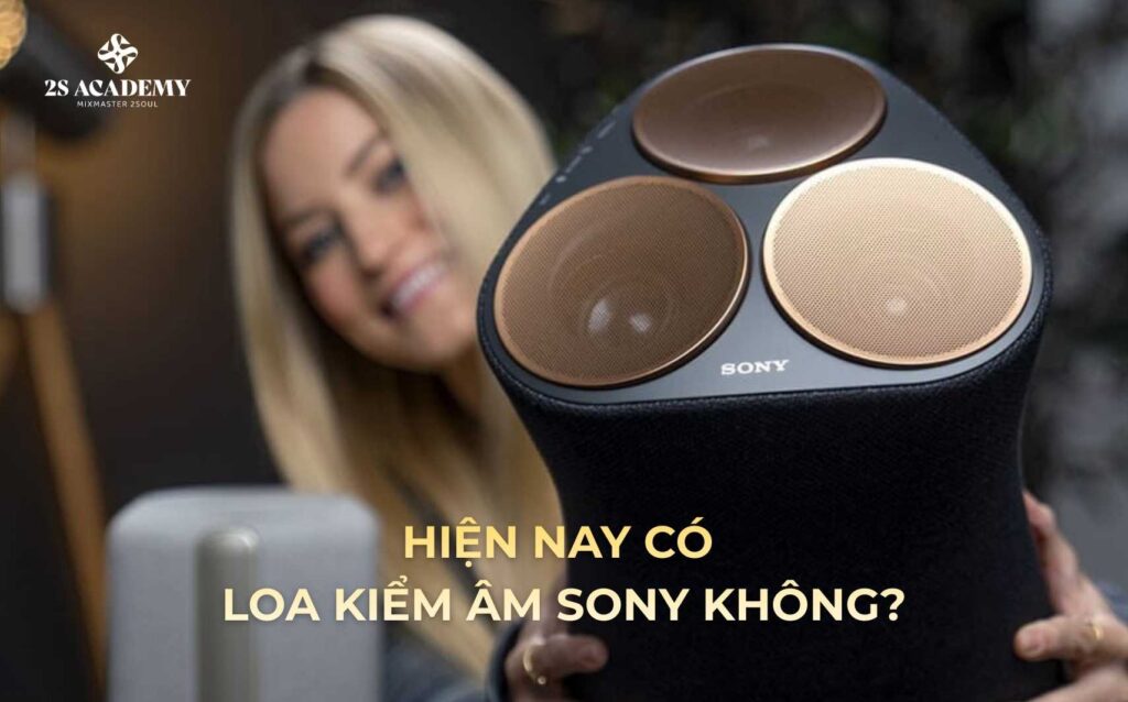 hien-nay-co-loa-kiem-am-sony-khong